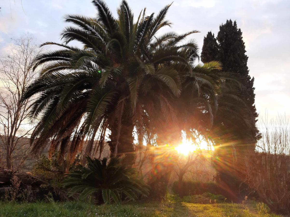 La Meriggia Senigallia Agriturismo Ανκόνα Εξωτερικό φωτογραφία