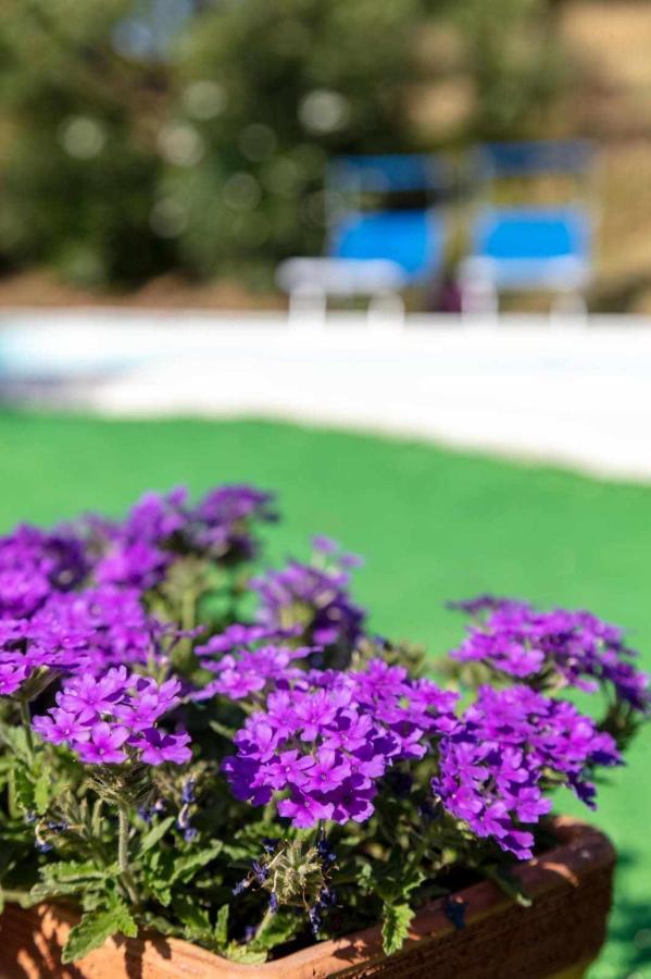 La Meriggia Senigallia Agriturismo Ανκόνα Εξωτερικό φωτογραφία